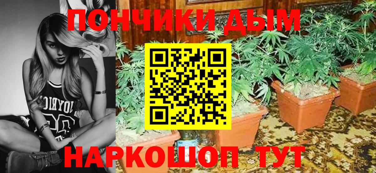 Конопля гибрид  Конопля Bruce Banner  Семилуки  Вход с VPN  Конопля конопля  Конопля THC 21% 
